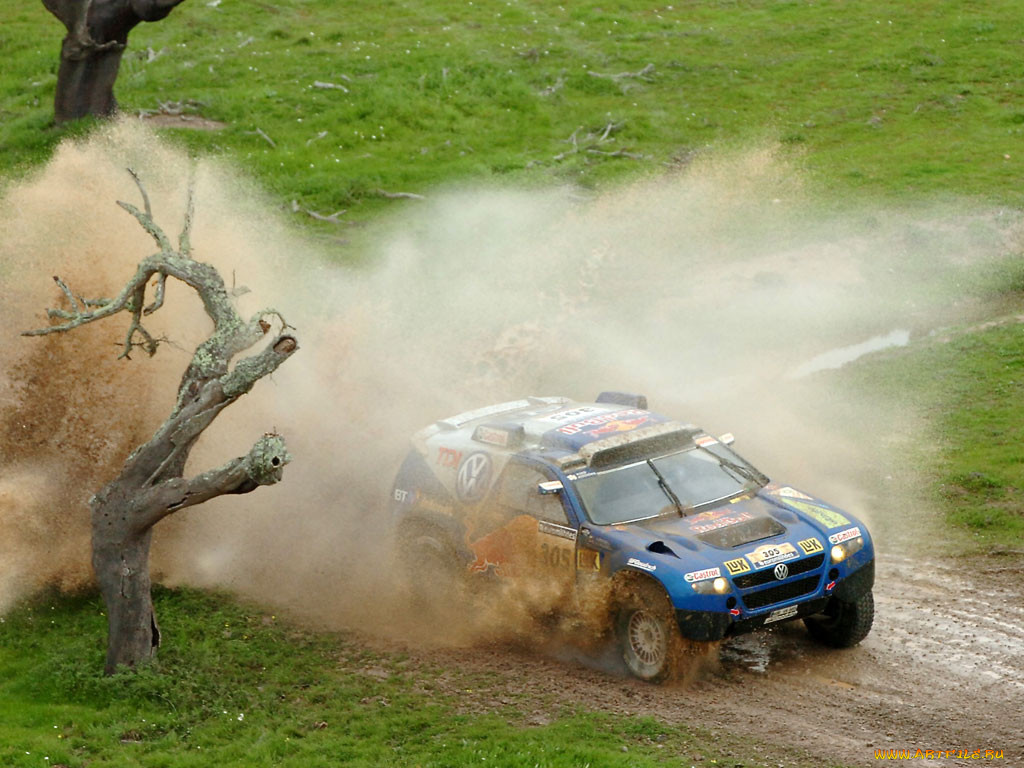 спорт, авторалли