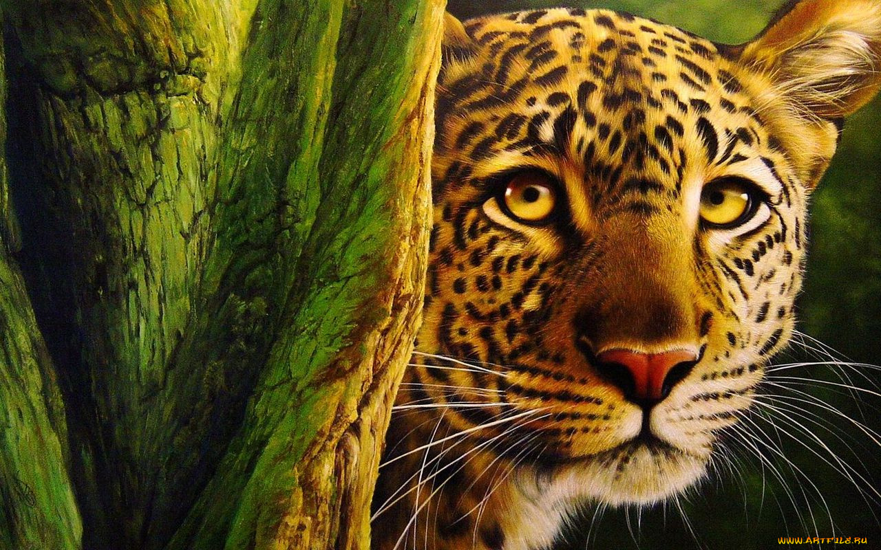 рисованные, животные