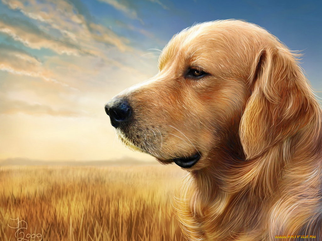 рисованные, животные