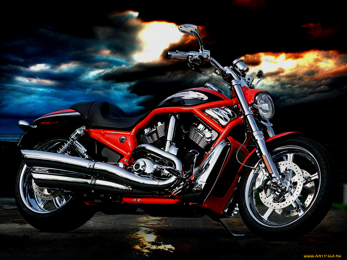 мотоциклы, customs