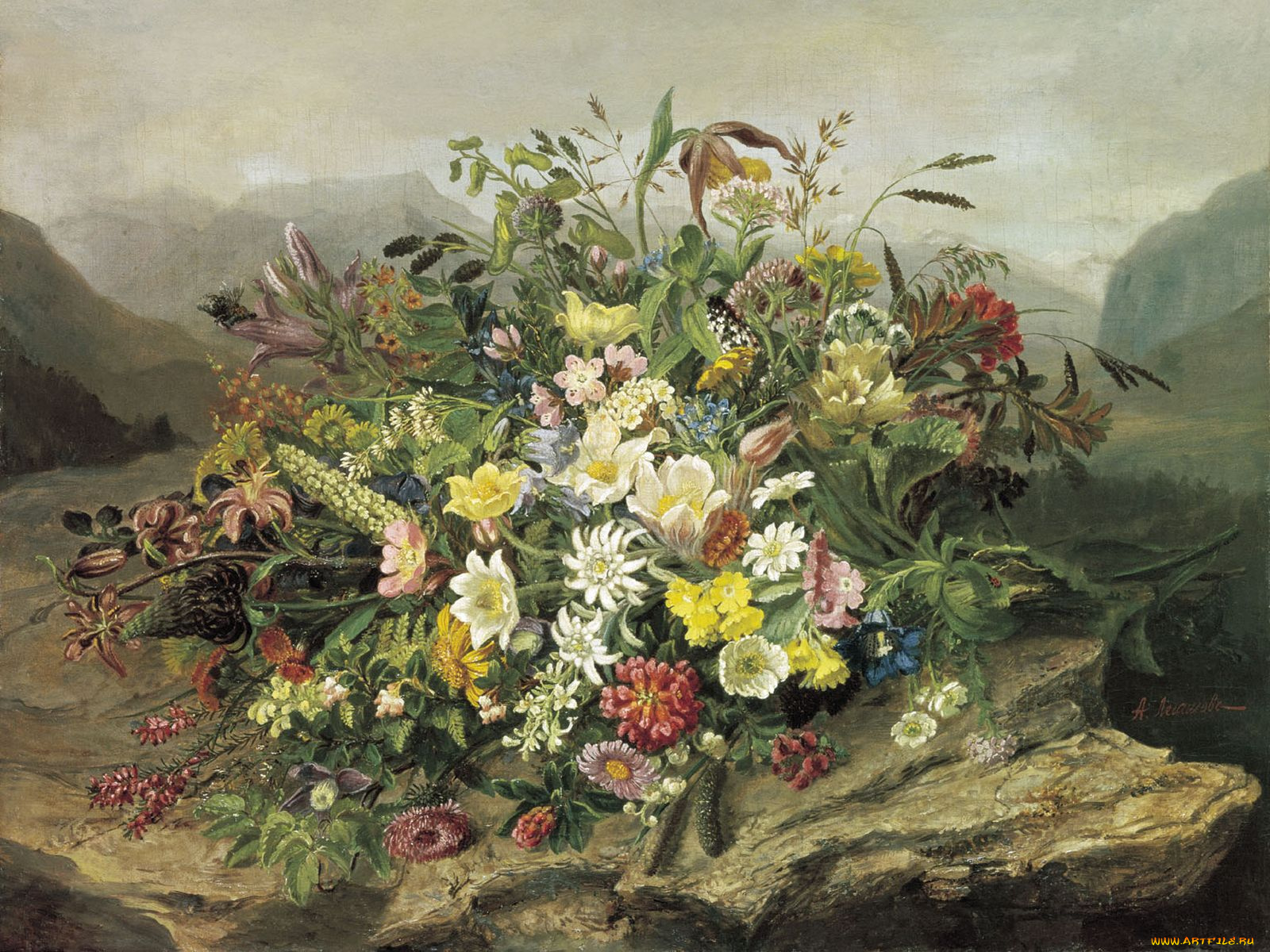 антон, легашов, рисованные