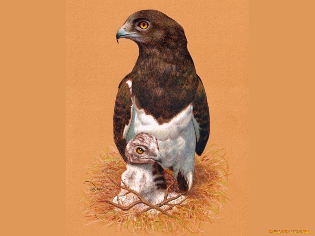 рисованные, животные