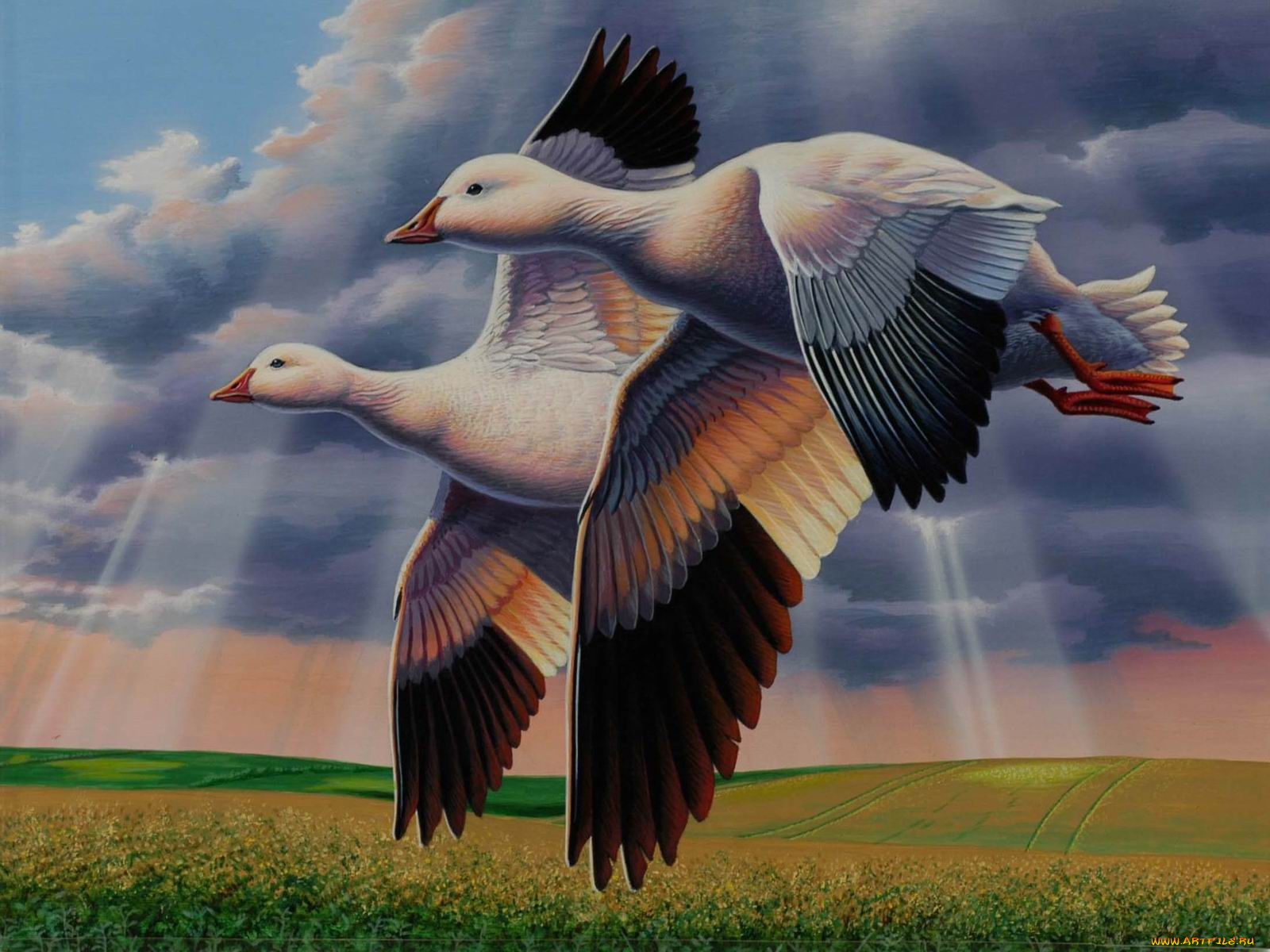 рисованные, животные