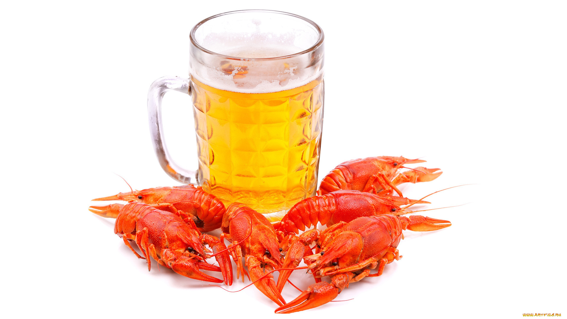 еда, напитки, пиво