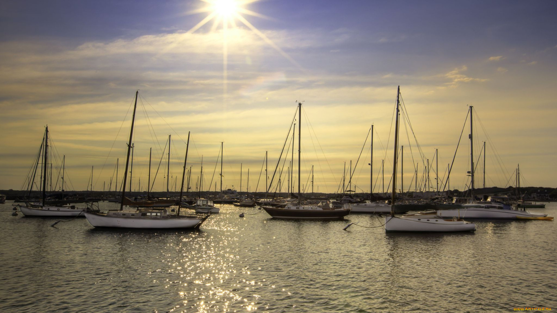 корабли, Яхты