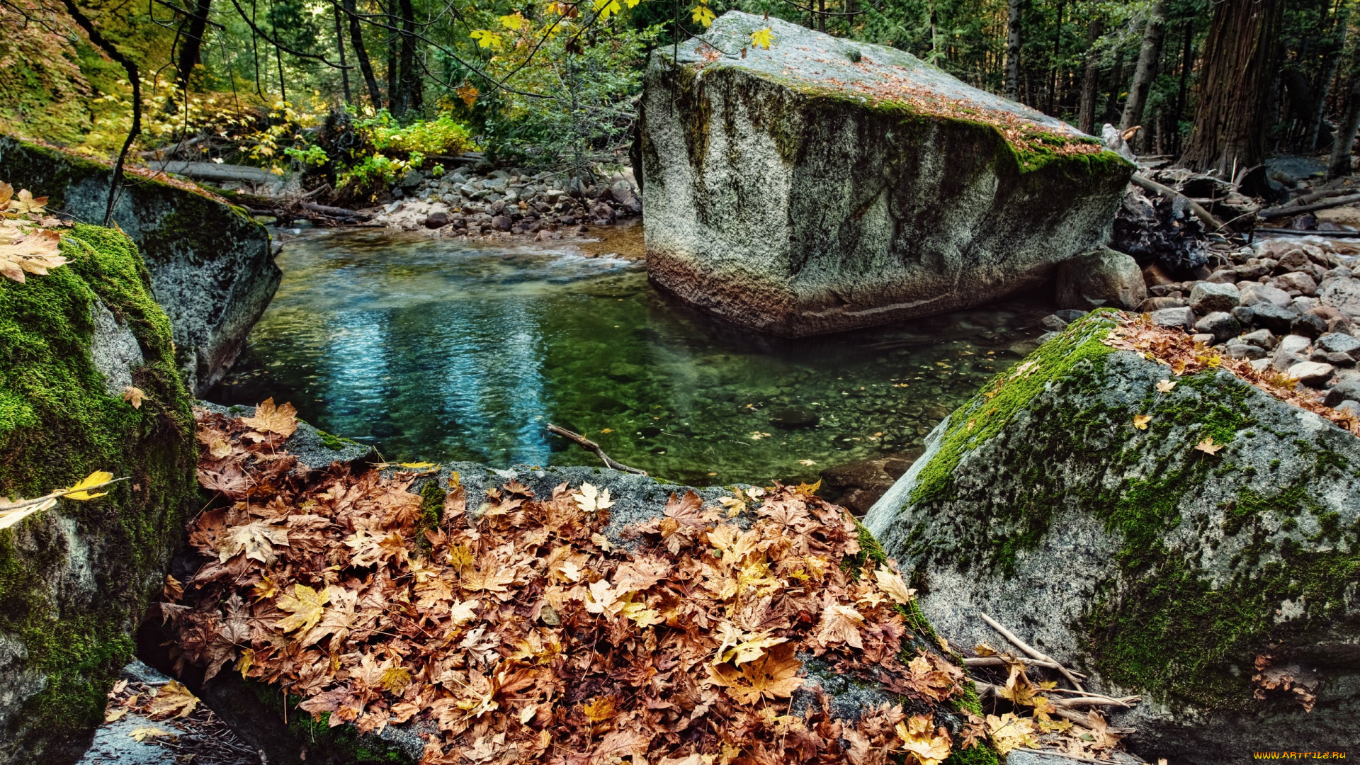 природа, реки, озера