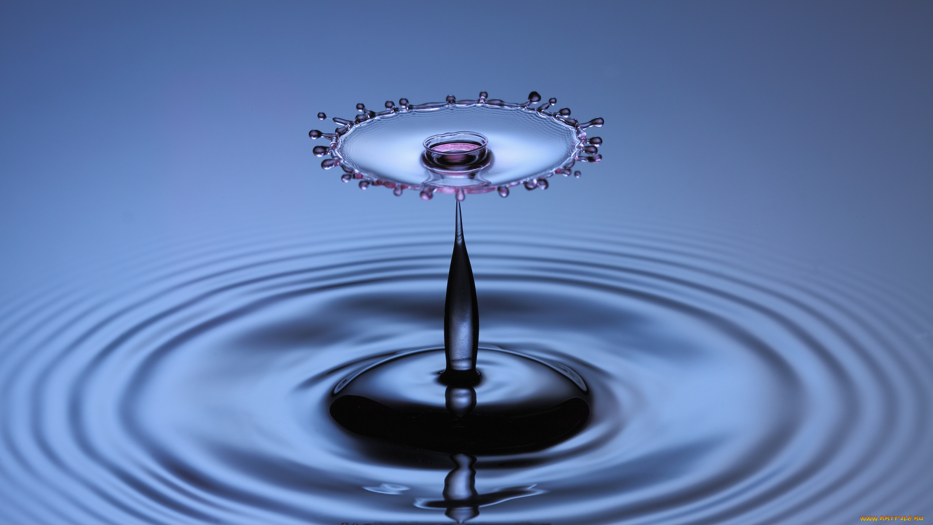 разное, капли, брызги, всплески