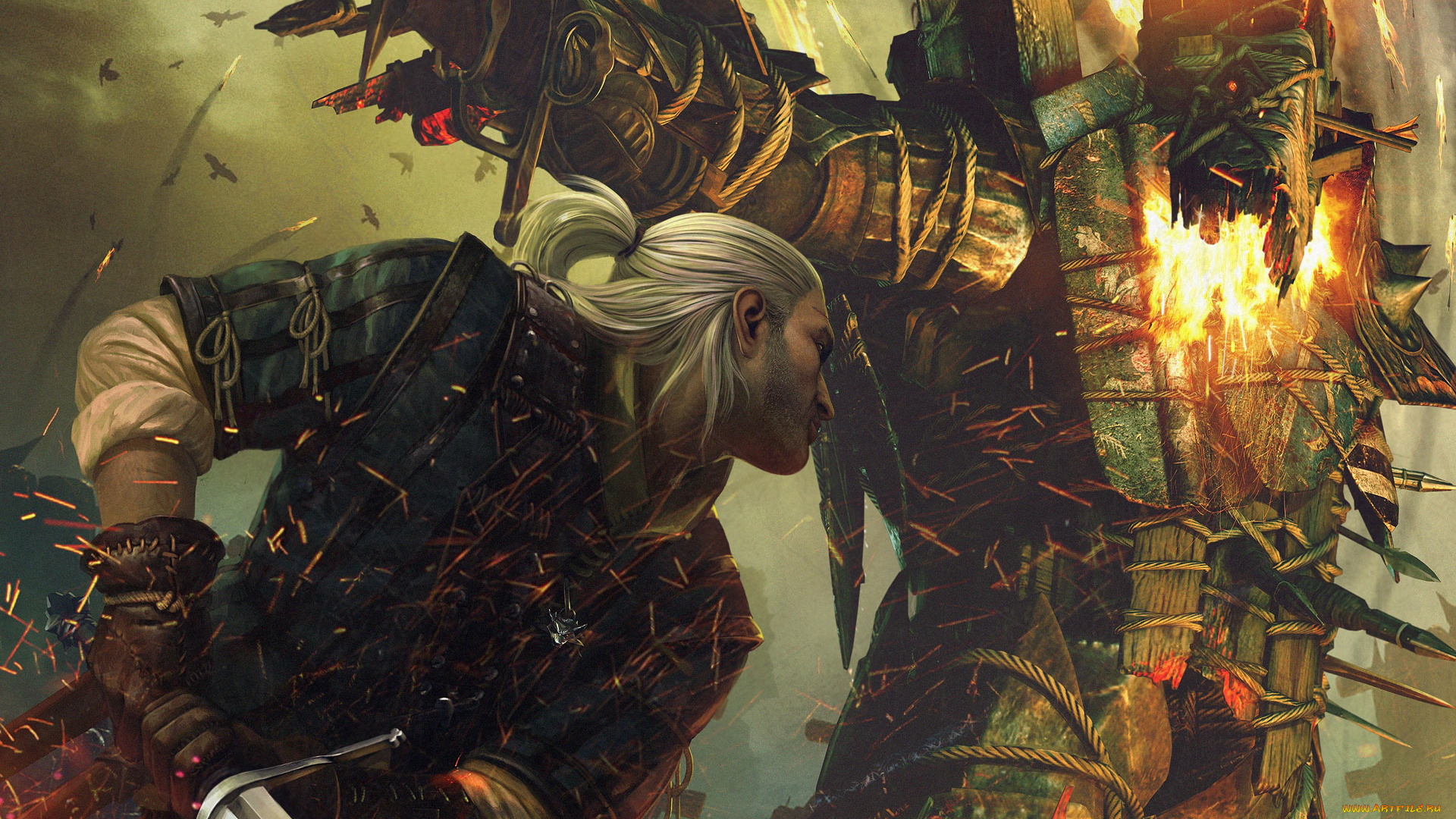 the, witcher, assassins, of, kings, видео, игры