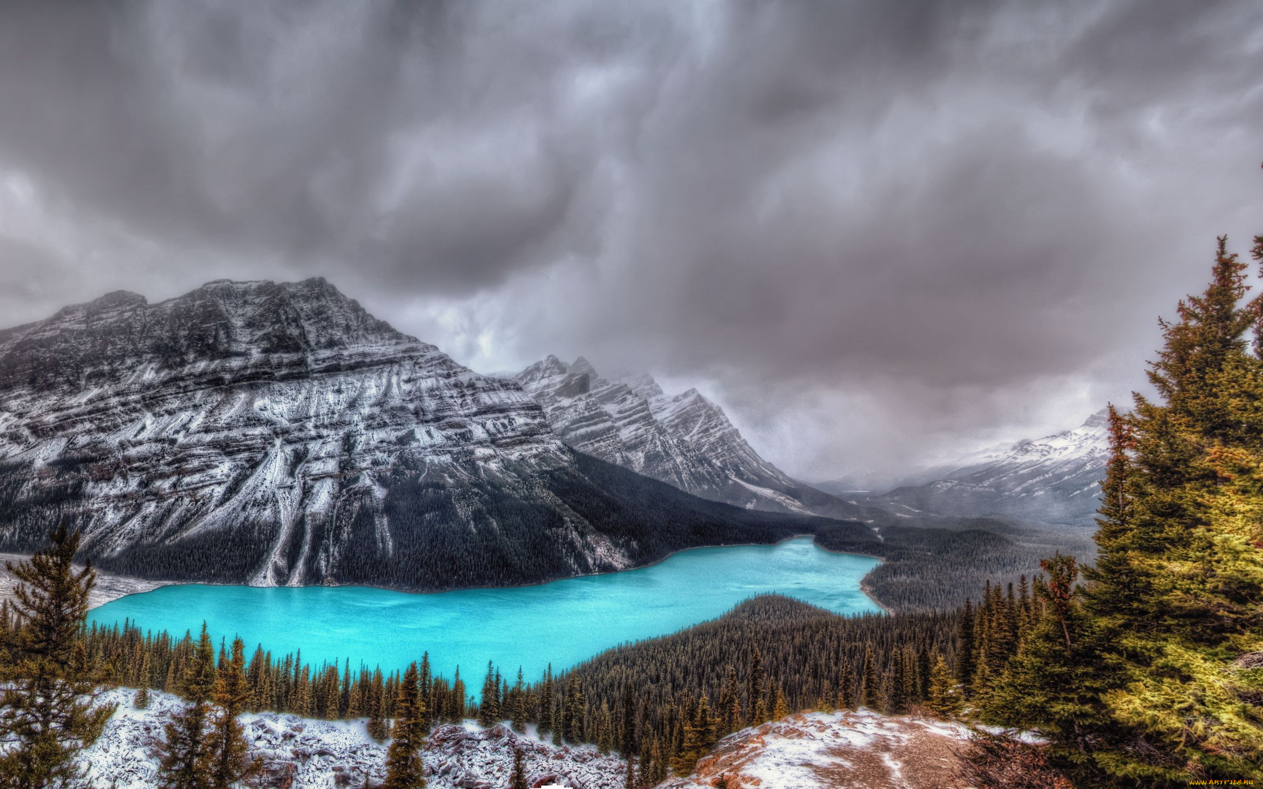 природа, реки, озера