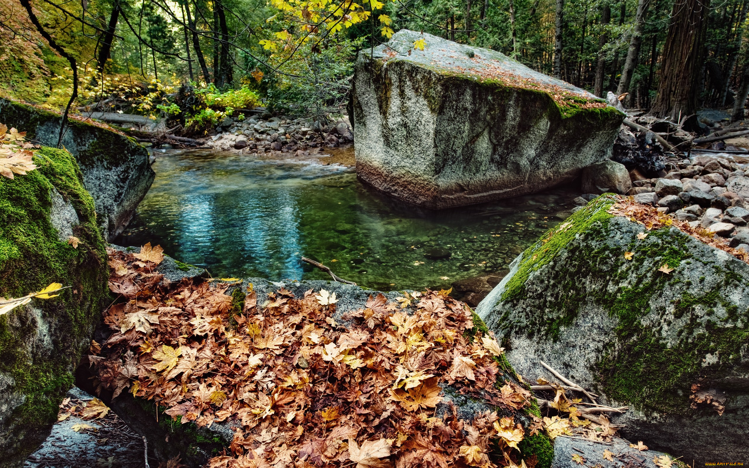 природа, реки, озера