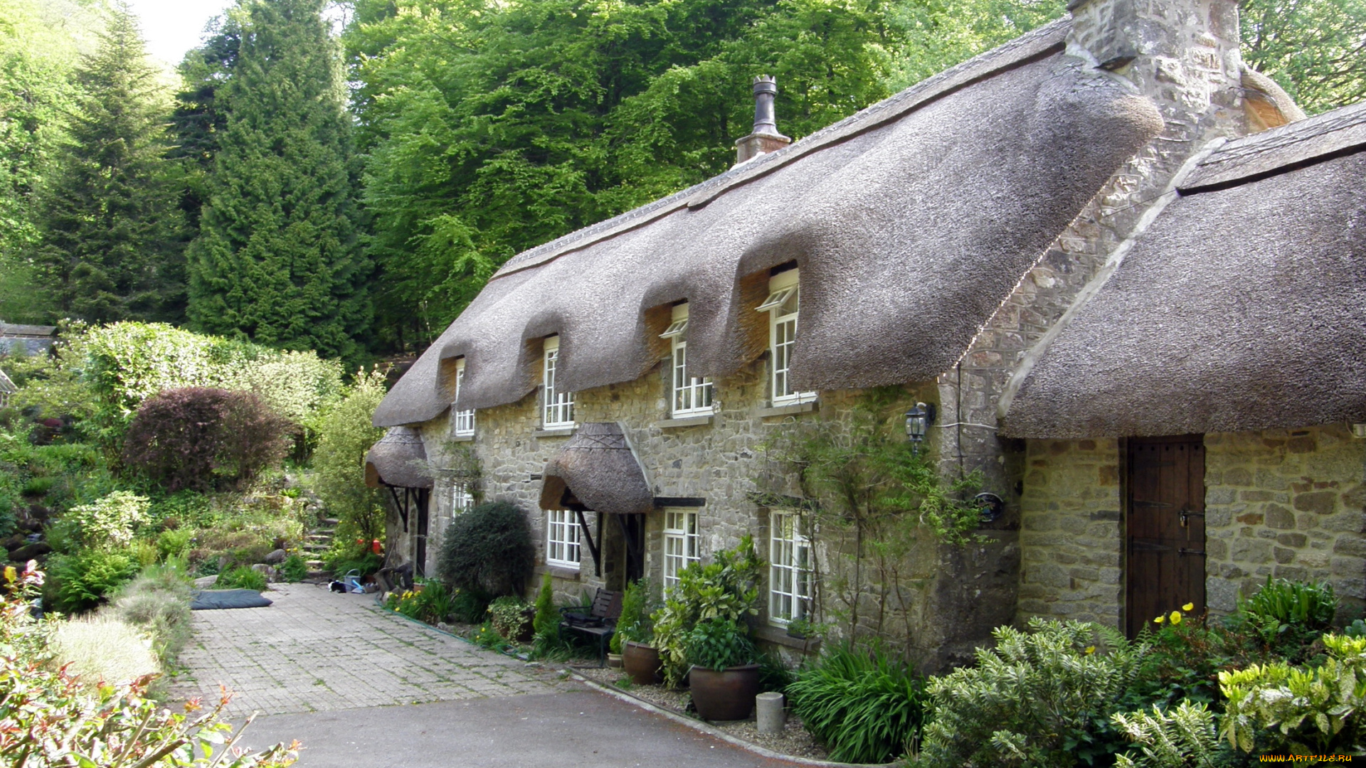 города, здания, дома, деревья, кусты, двор, дом