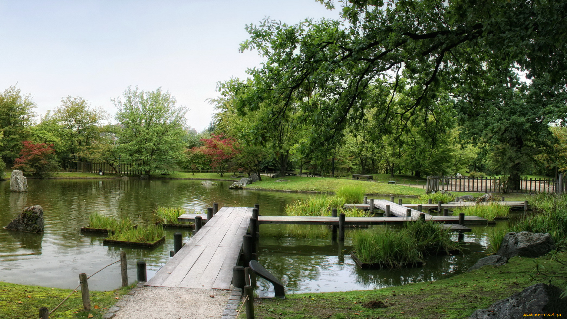 japanese, garden, hasselt, бельгия, природа, парк, растения