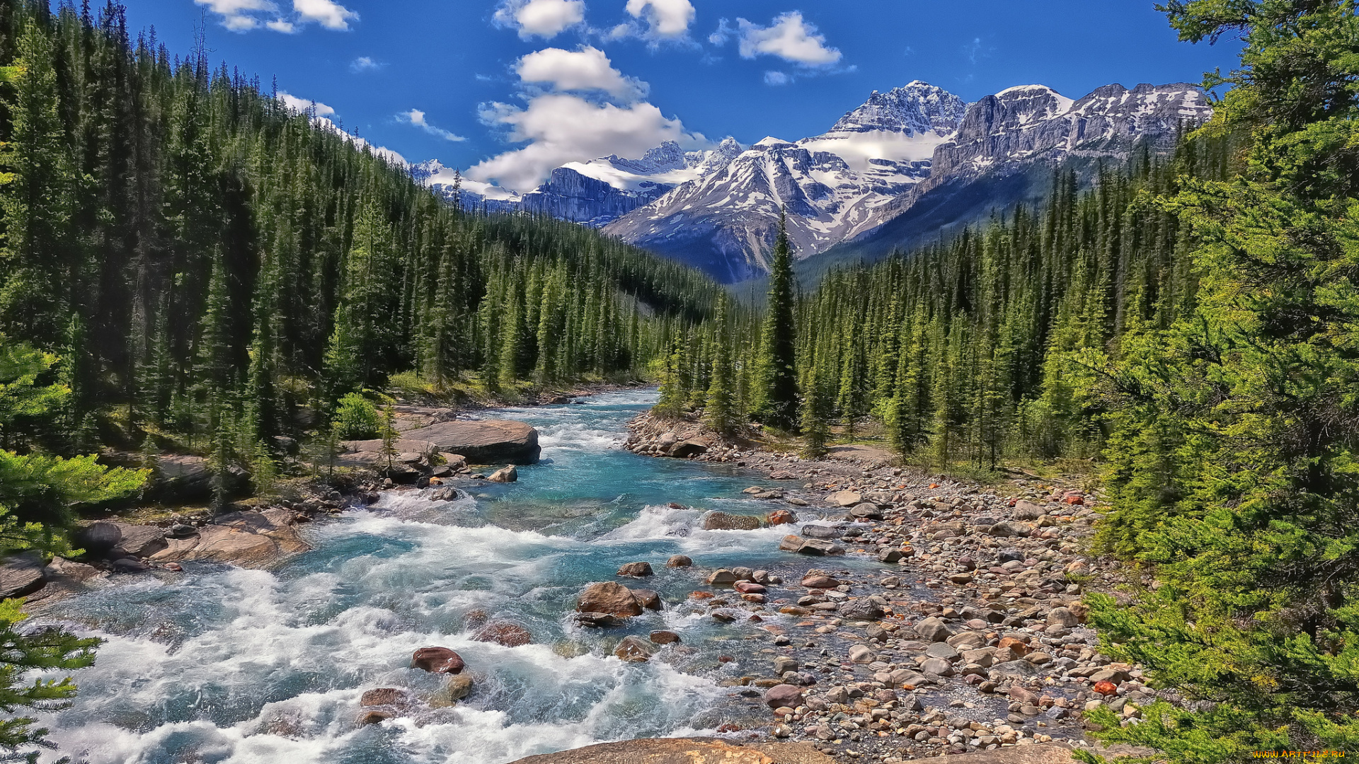 mistaya, river, banff, national, park, alberta, canada, природа, реки, озера, горы, лес, банф, альберта, канада, река