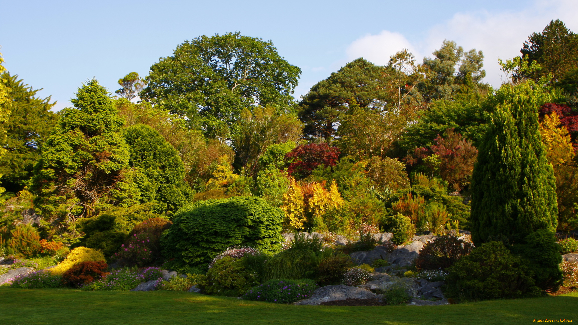 muckross, garden, ireland, природа, парк, кусты