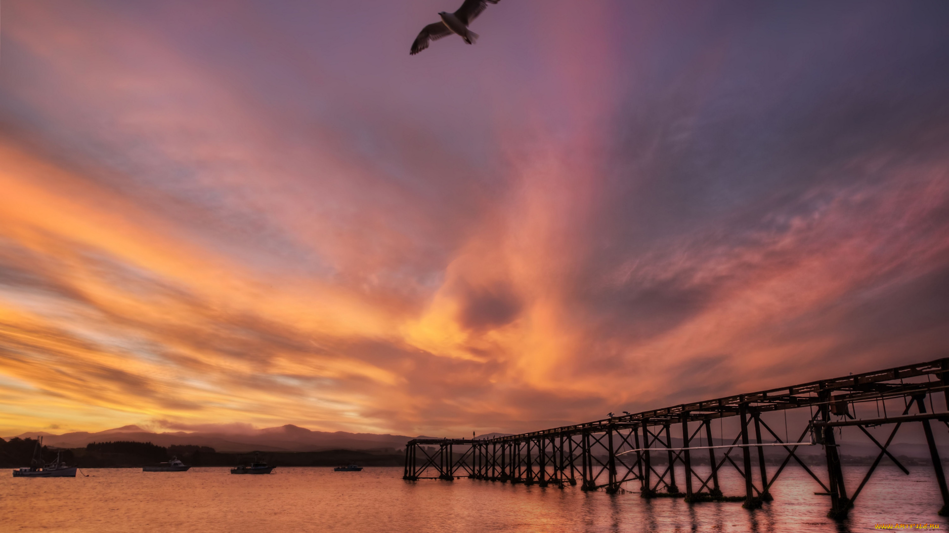 new, zealand, природа, восходы, закаты, мост, гавань, море, новая, зеландия