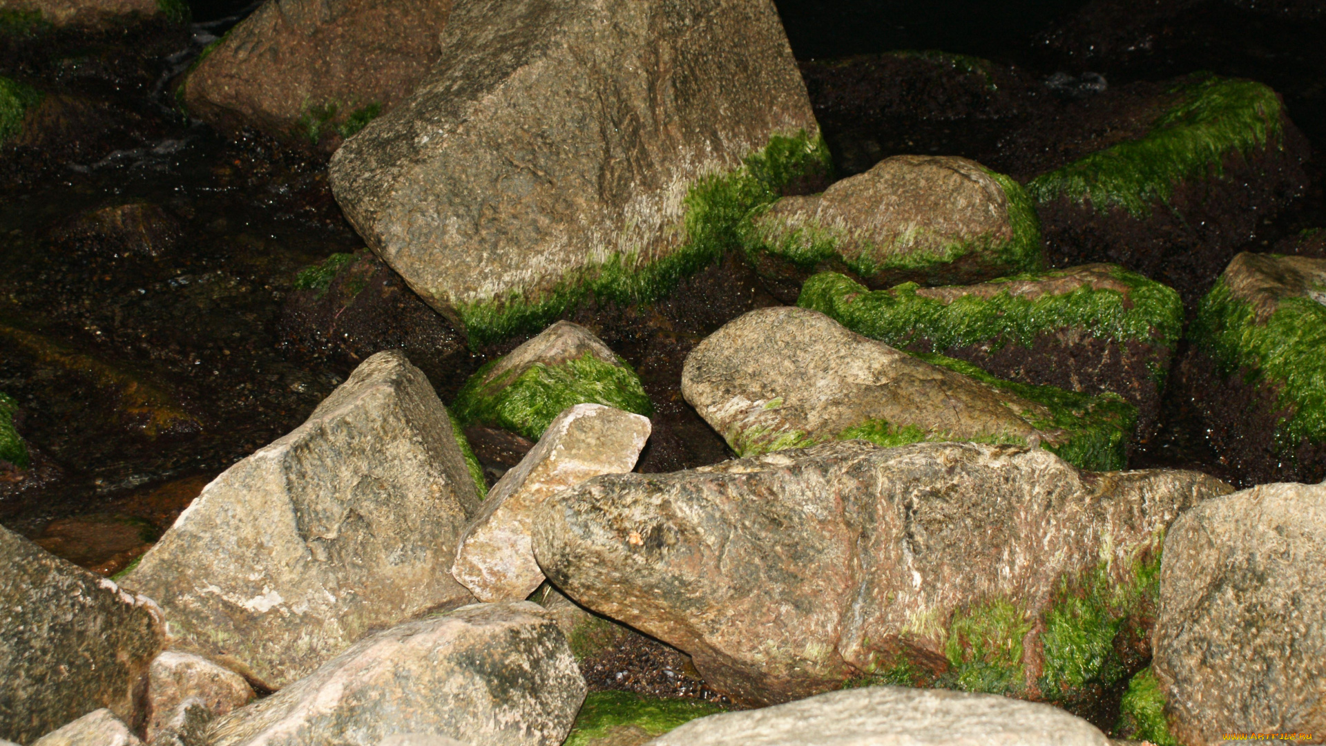 природа, камни, минералы, мох, ночь, берег