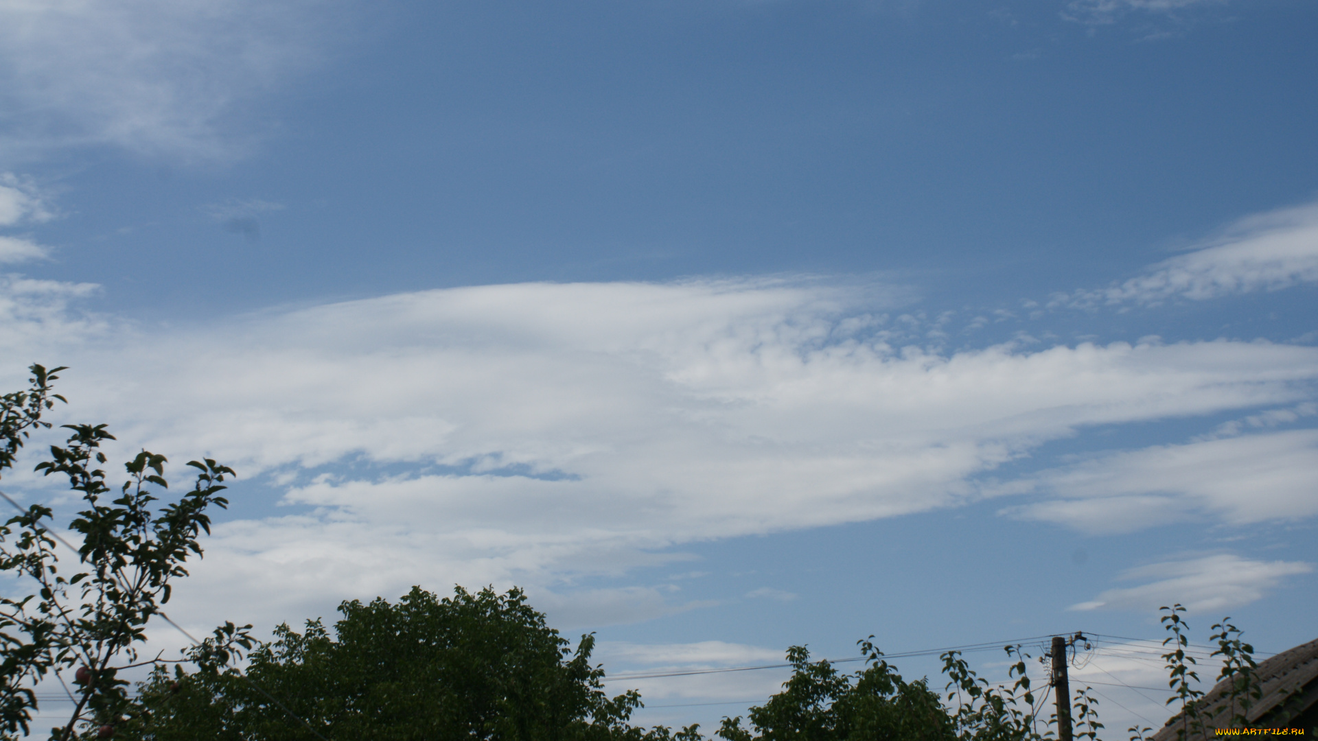 природа, облака, небо, деревья