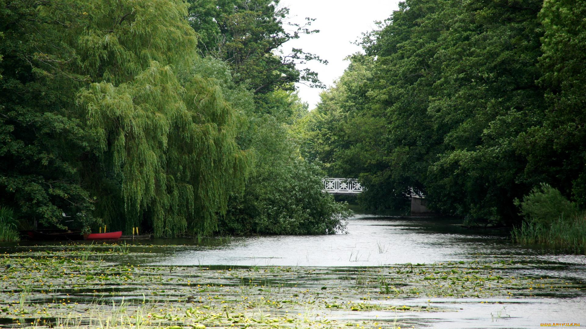 природа, парк, мостик, лодка, кувшинки, пруд