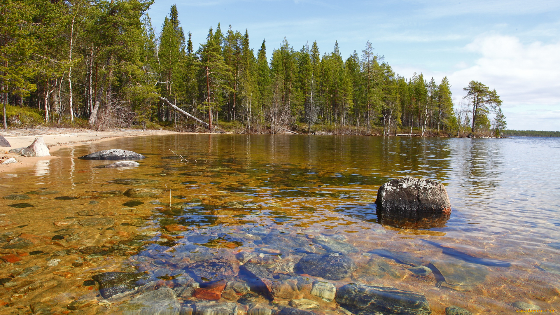 природа, реки, озера, река, лес