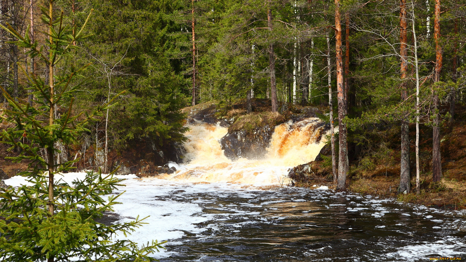 природа, водопады, водопад, лес
