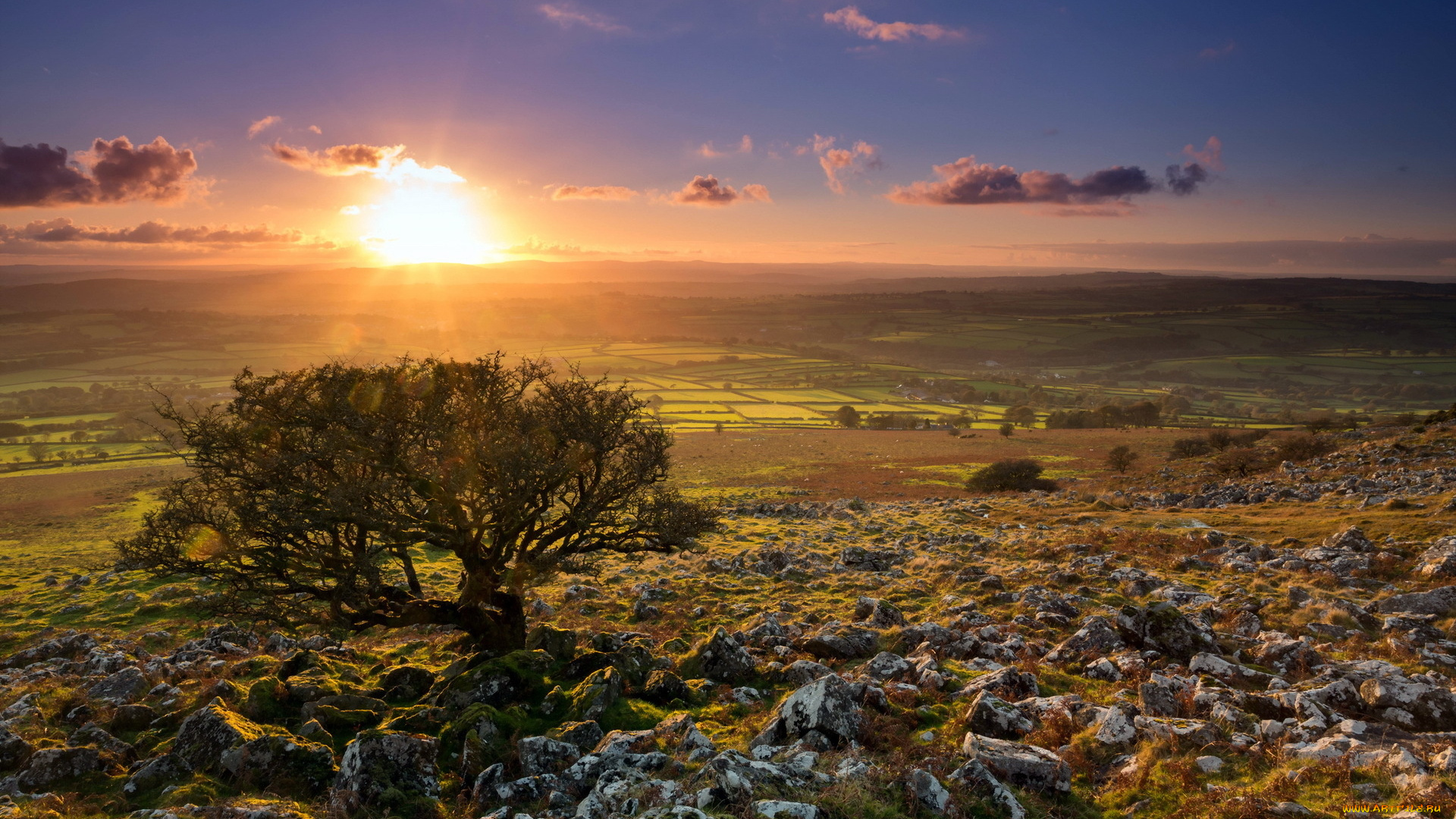 природа, восходы, закаты, солнце, дерево, камни, трава, равнина, поля