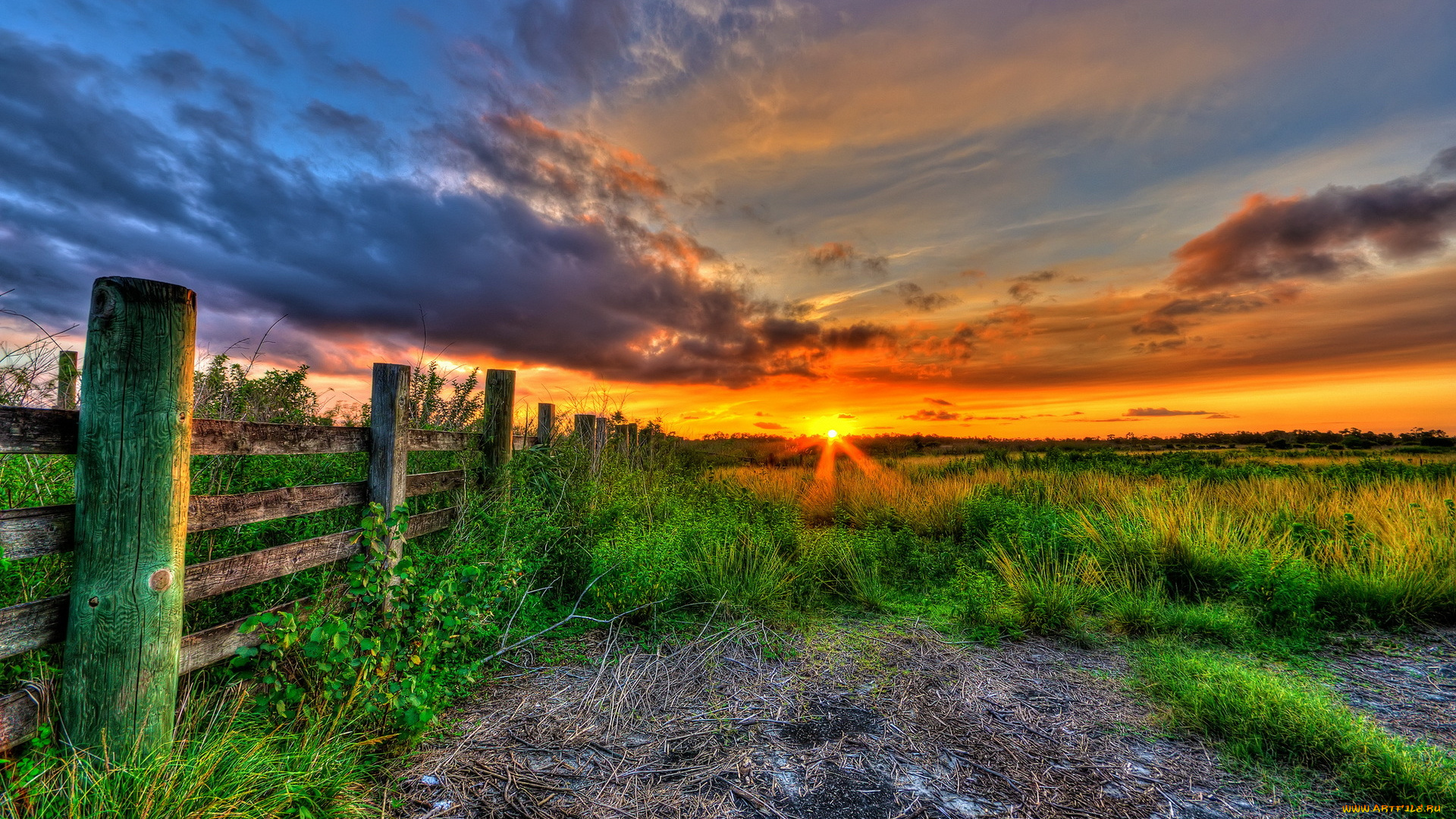природа, восходы, закаты, трава, изгородь, свет, поле