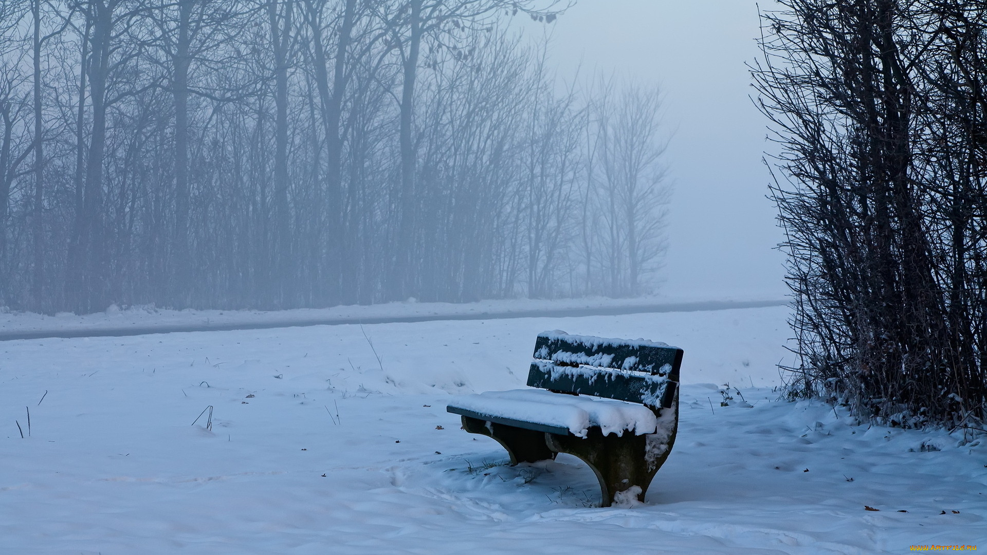 природа, зима, скамейка, деревья, снег