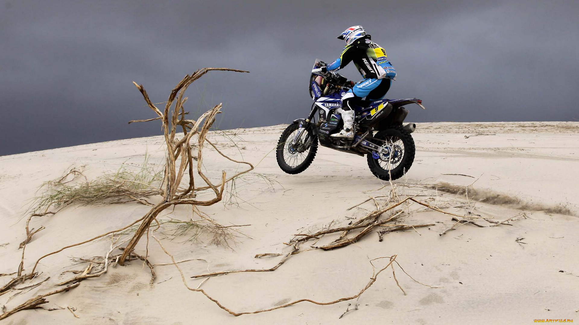 спорт, мотокросс, гонка, песок, пустыня