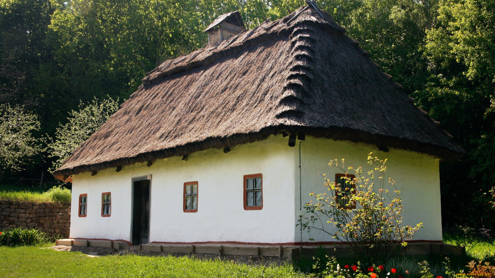 украинская, хата, разное, сооружения, постройки, цветы