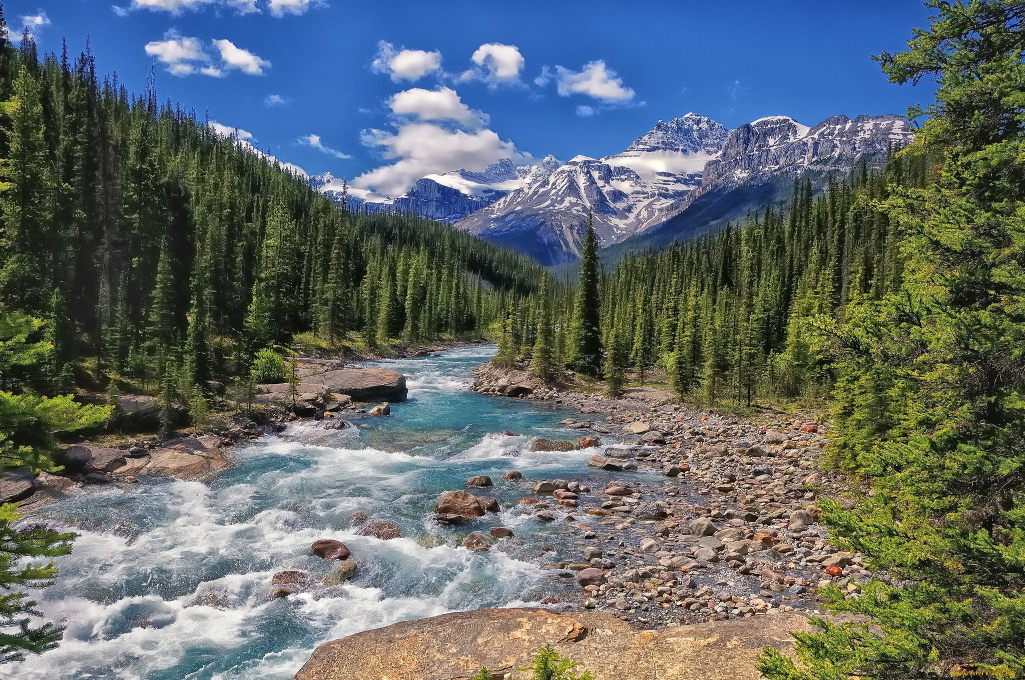 mistaya, river, banff, national, park, alberta, canada, природа, реки, озера, горы, лес, банф, альберта, канада, река