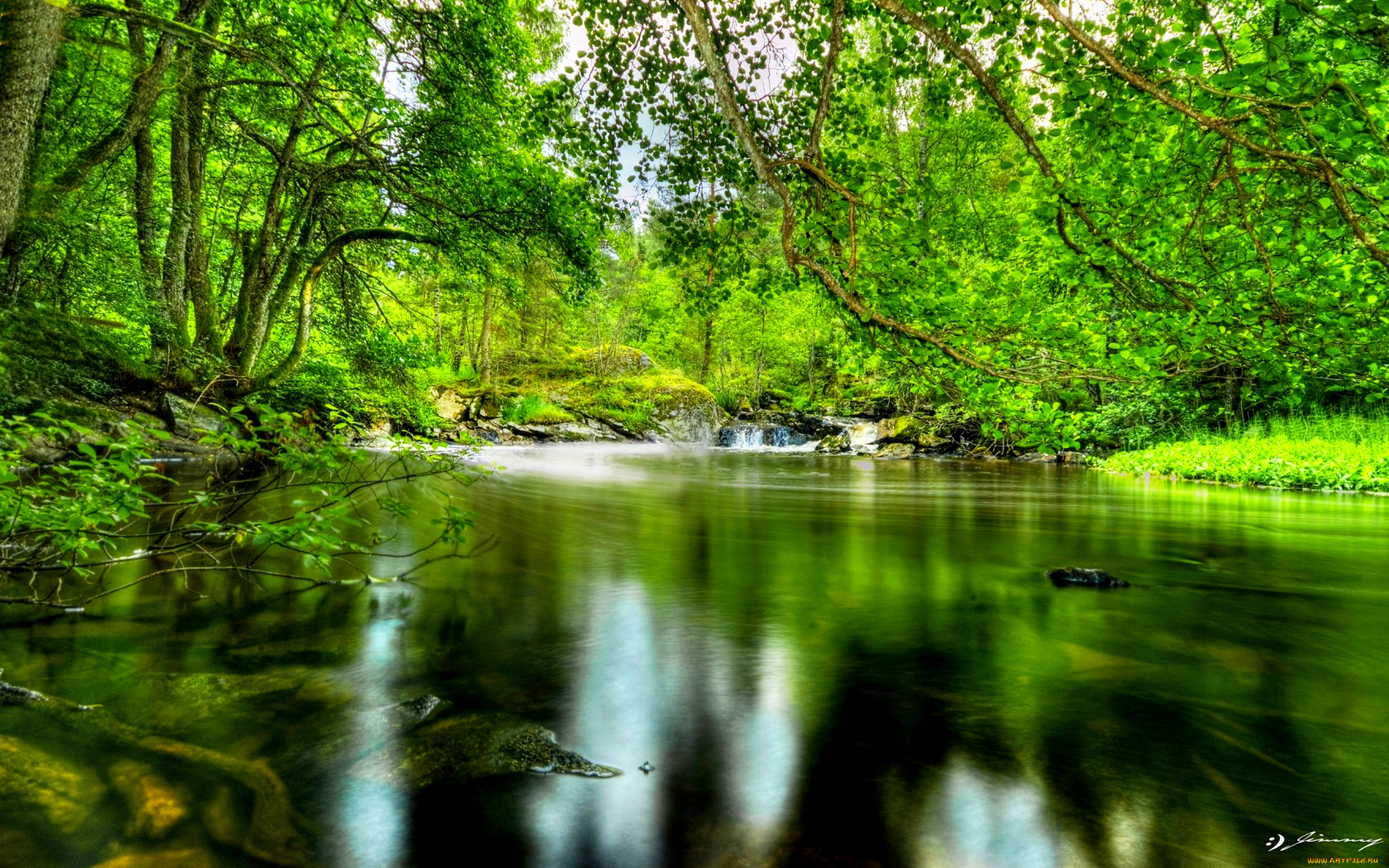 природа, реки, озера, лес, река