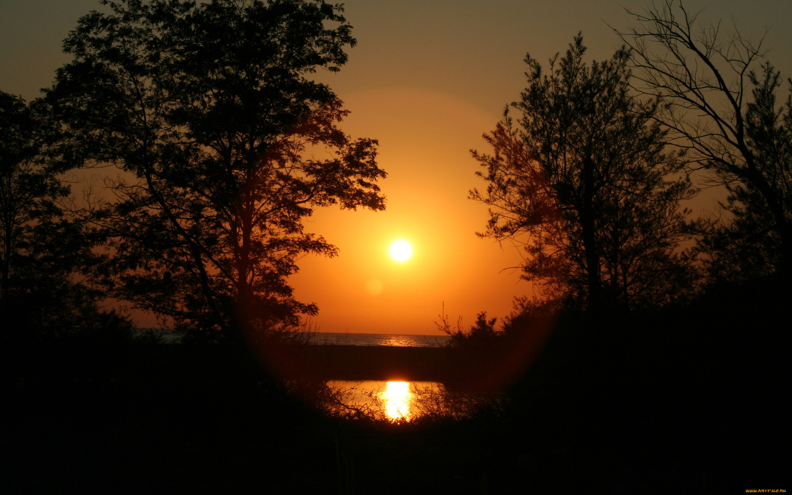 природа, восходы, закаты, вечер, закат, лес