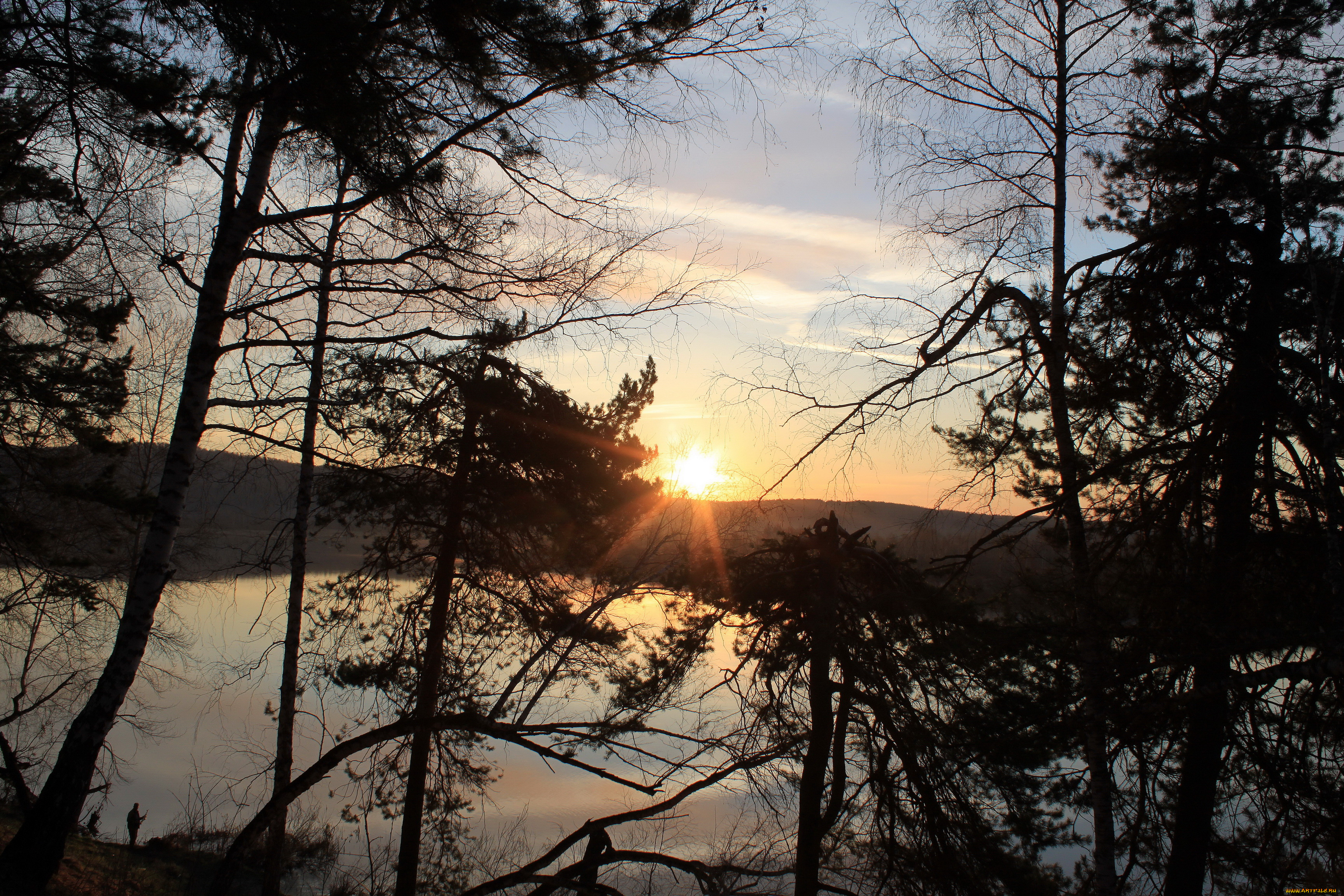 природа, восходы, закаты, деревья, река, закат