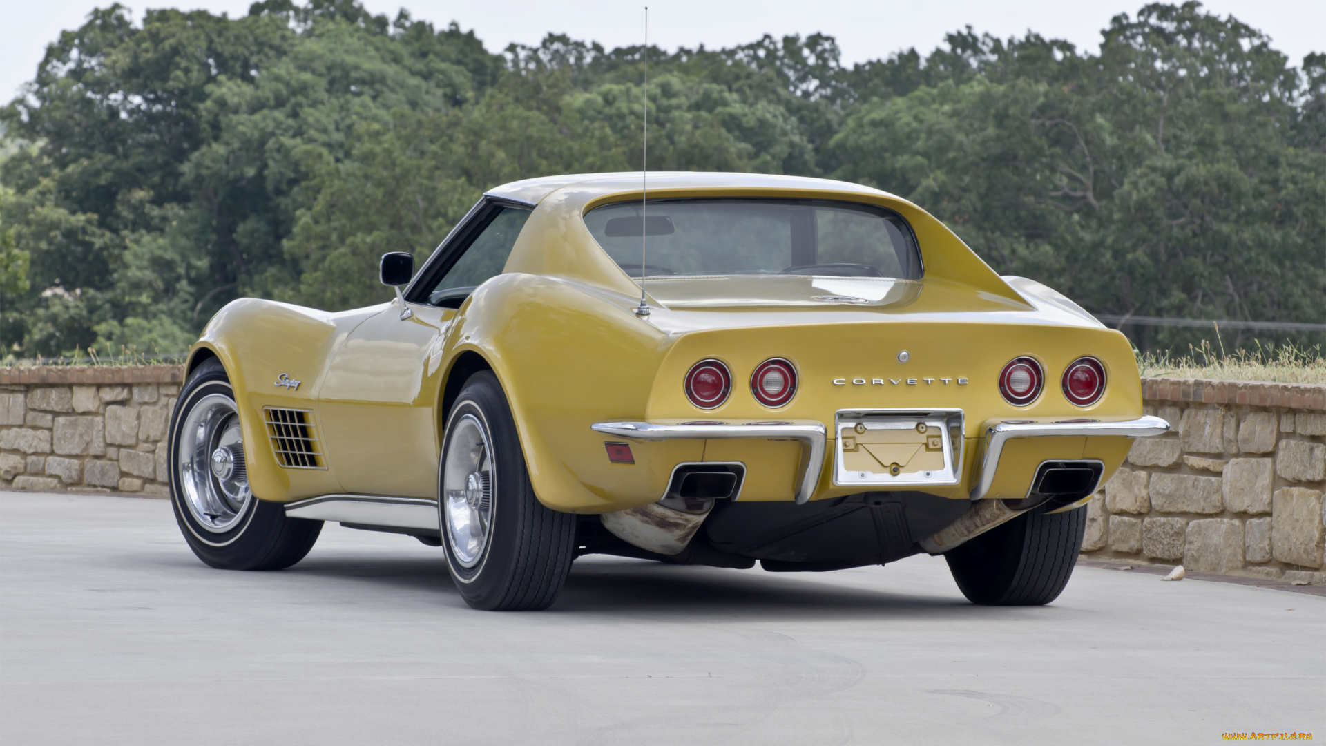 автомобили, corvette