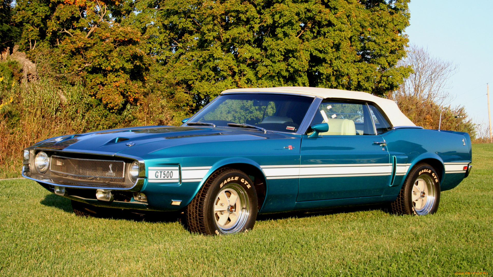 автомобили, mustang