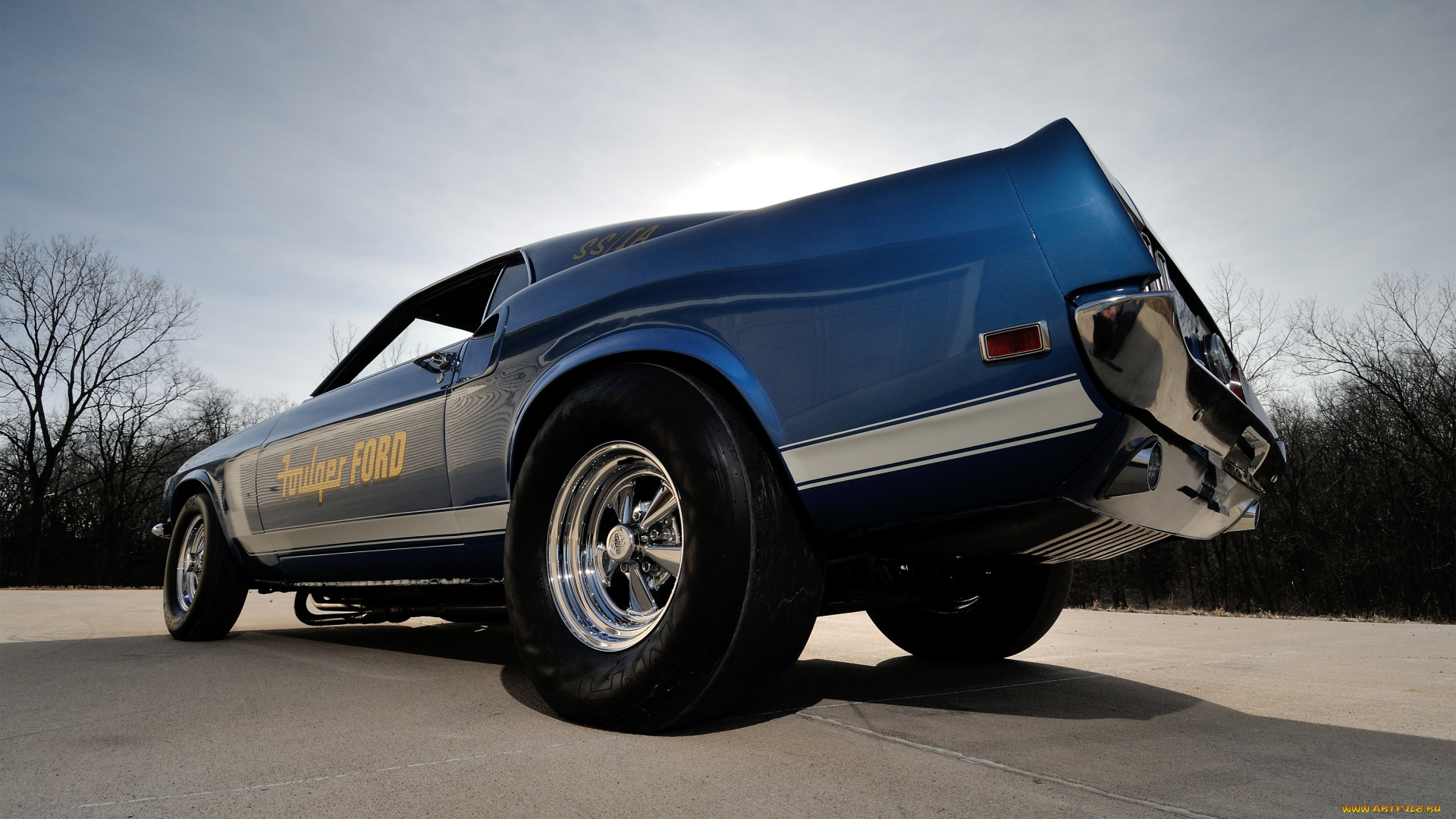 автомобили, mustang, rear