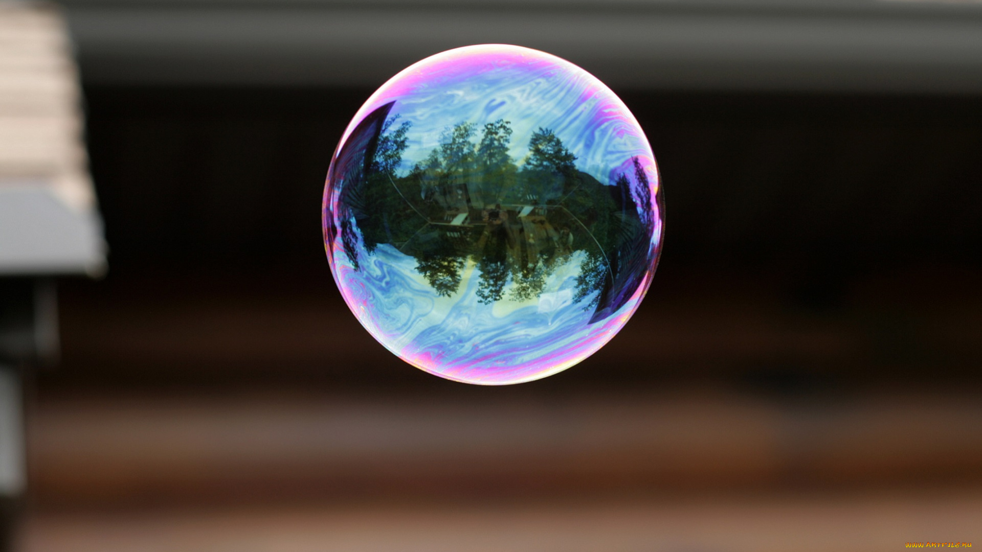 разное, -, другое, мыльный, пузырёк, летит, переливается