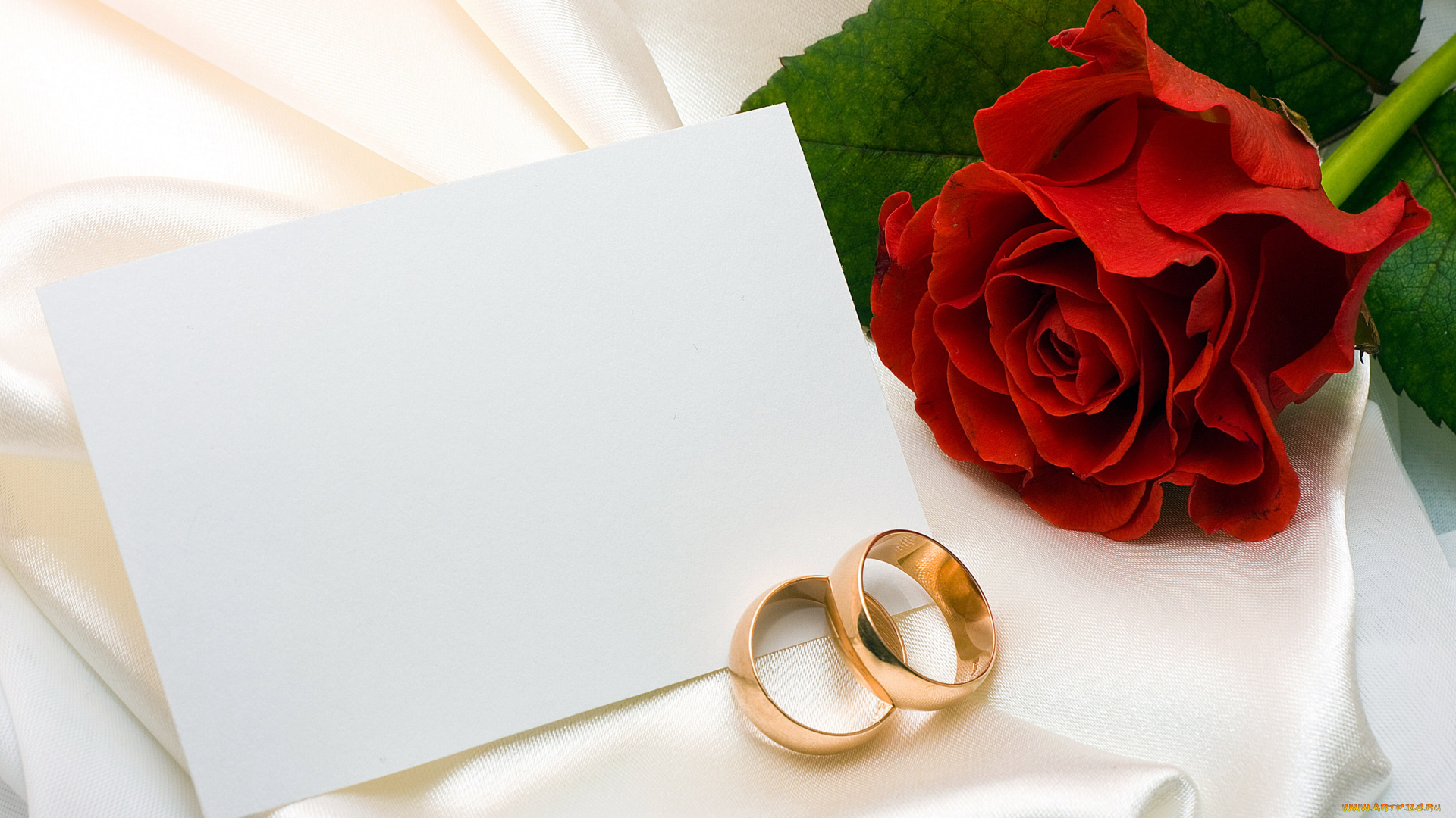 разное, украшения, , аксессуары, , веера, роза, кольца