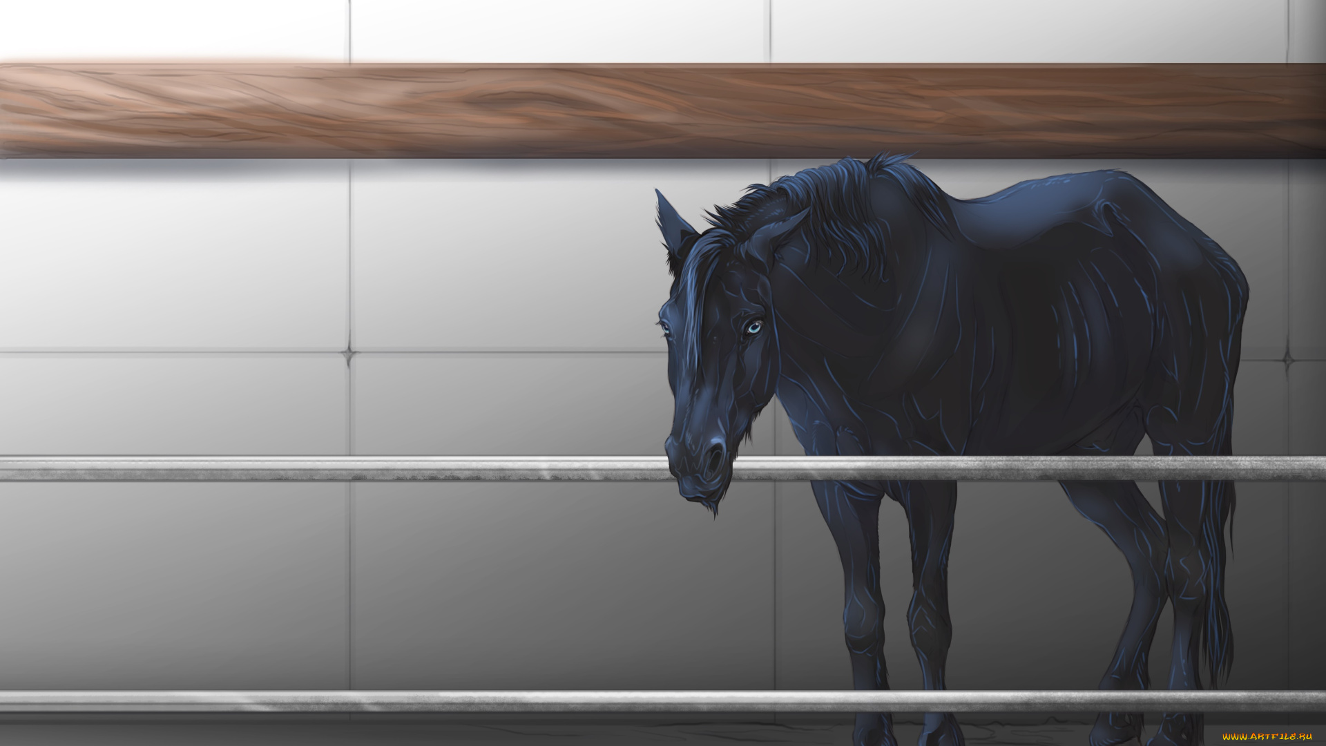 рисованные, животные, , лошади, забор, лошадь