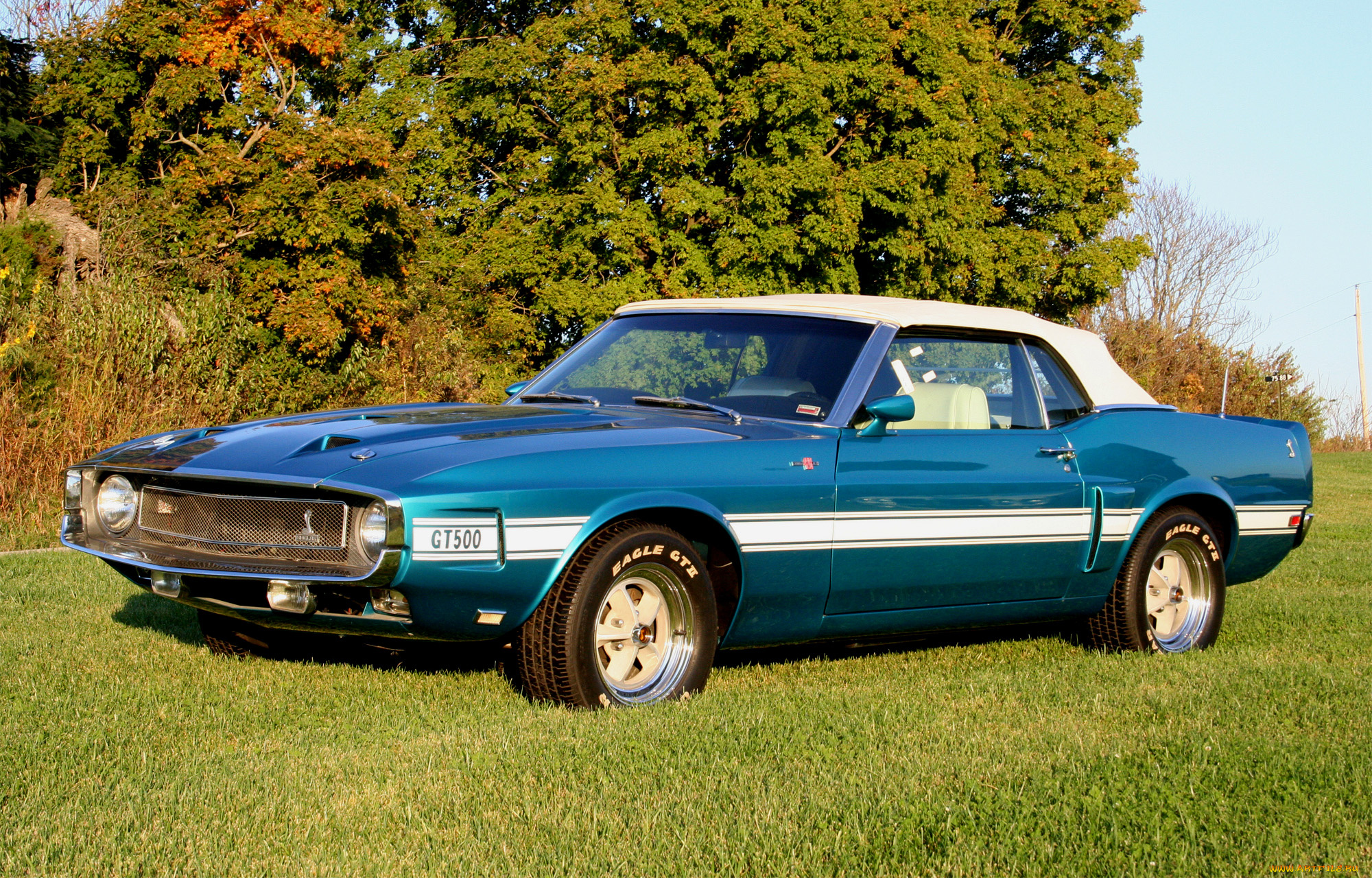 автомобили, mustang