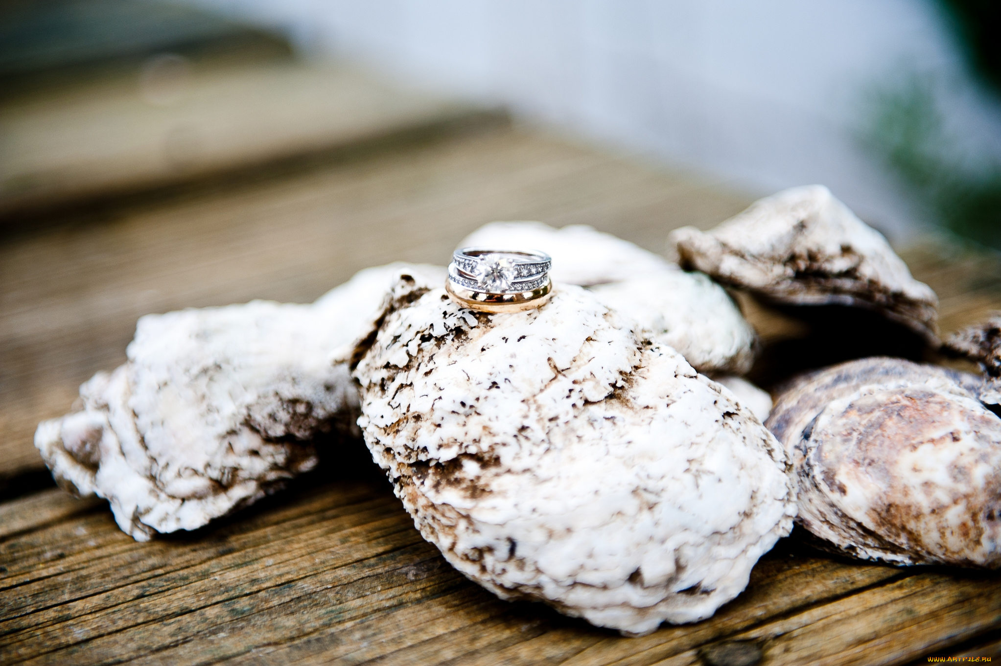 разное, украшения, , аксессуары, , веера, кольца, ракушки, камни, фон