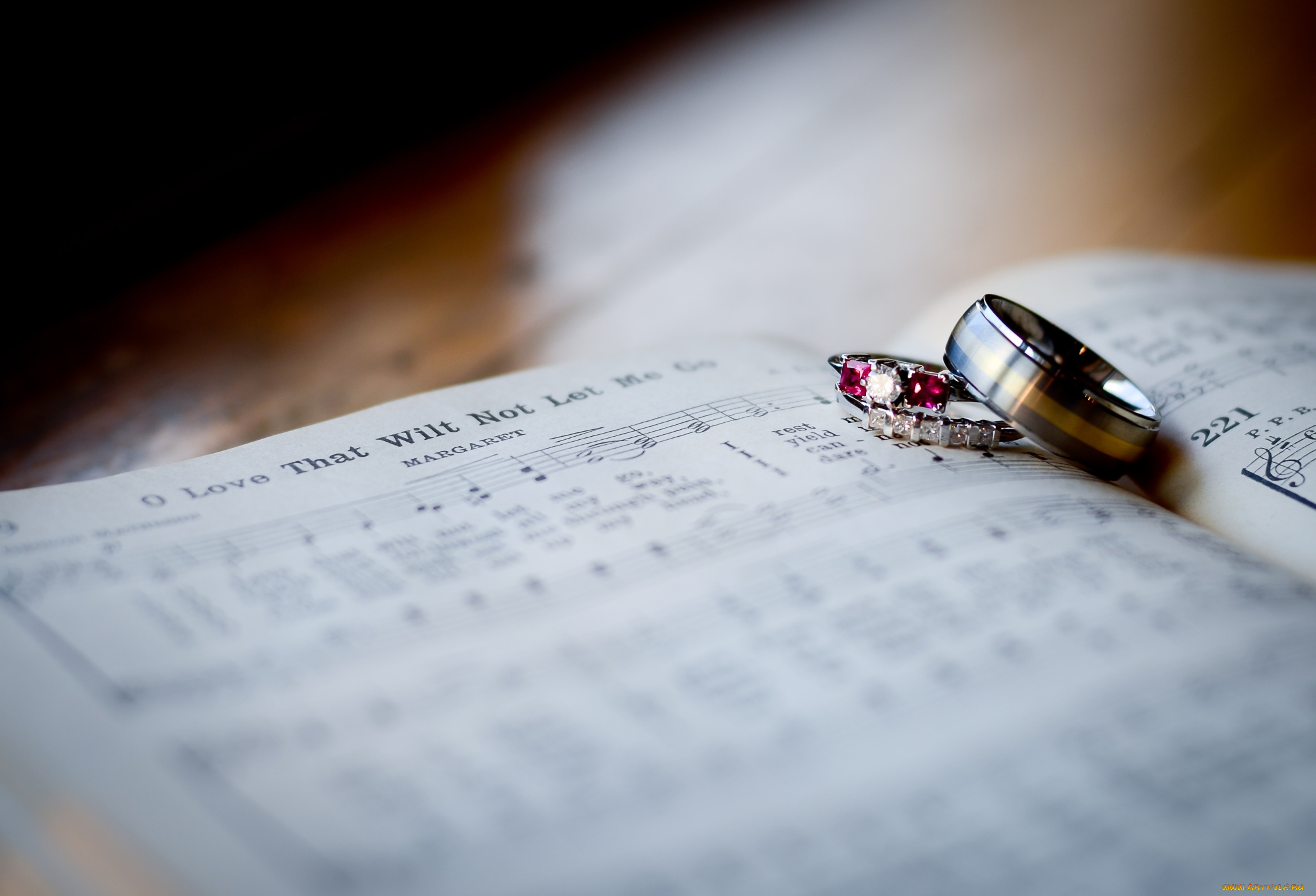 разное, украшения, , аксессуары, , веера, книга, фон, кольца