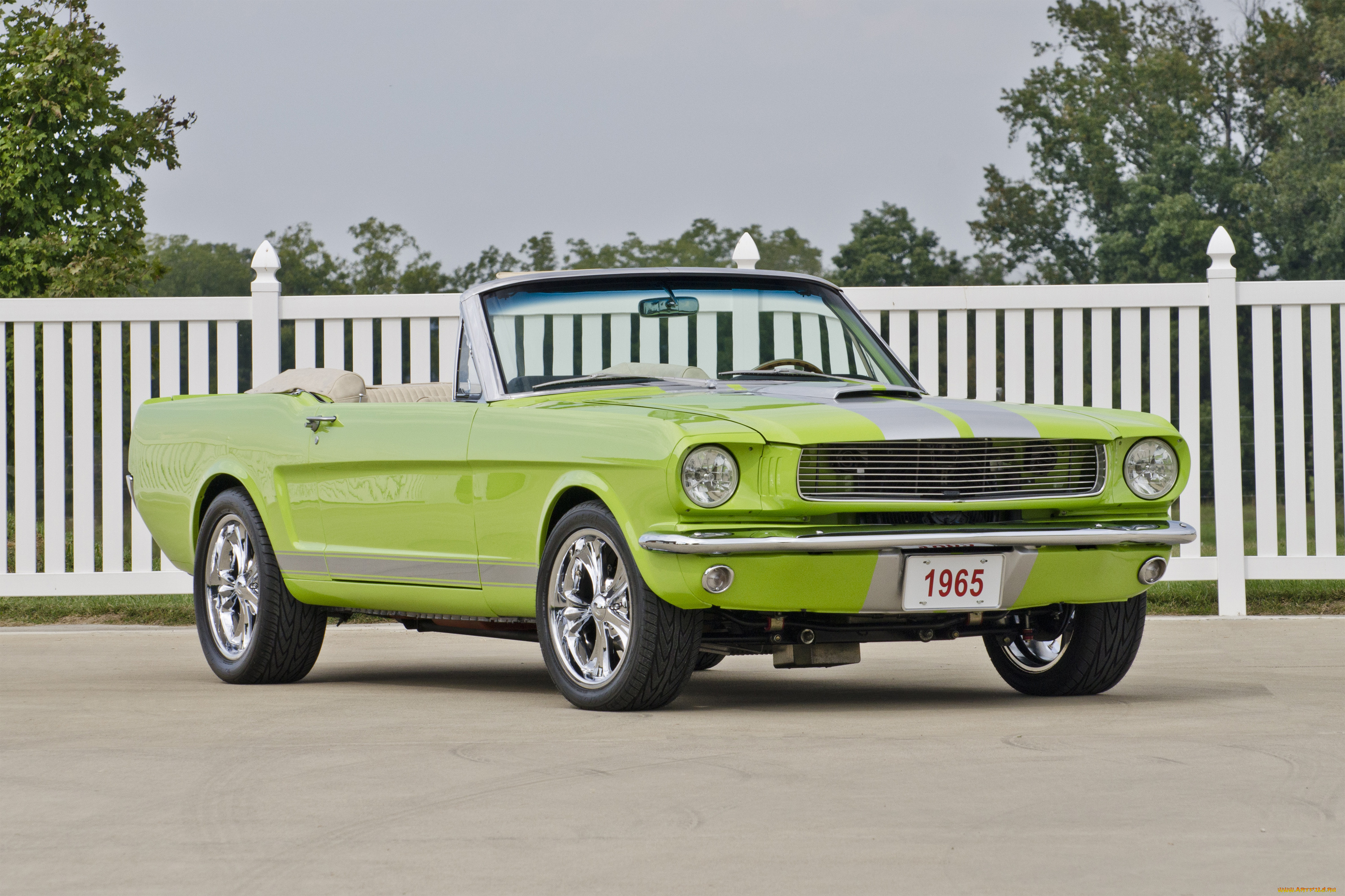 автомобили, mustang