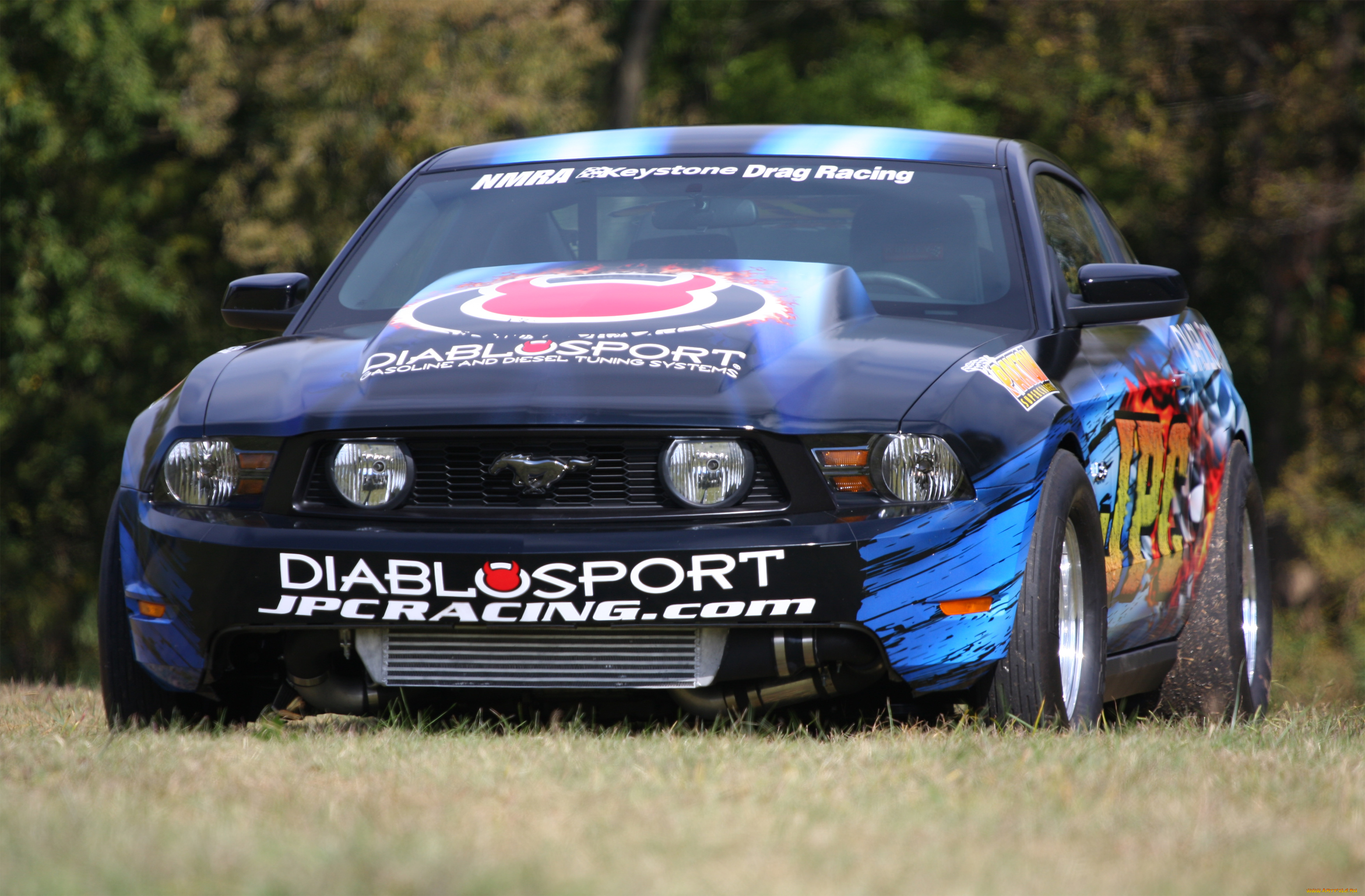 автомобили, mustang