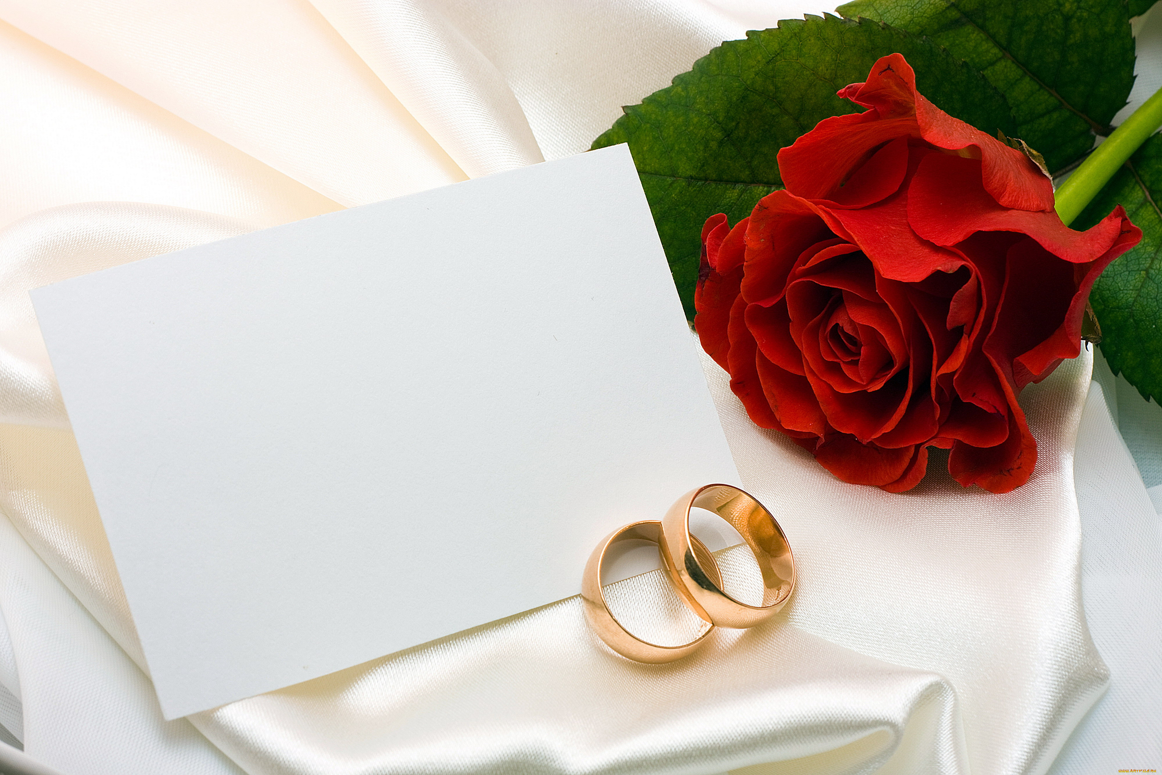 разное, украшения, , аксессуары, , веера, роза, кольца