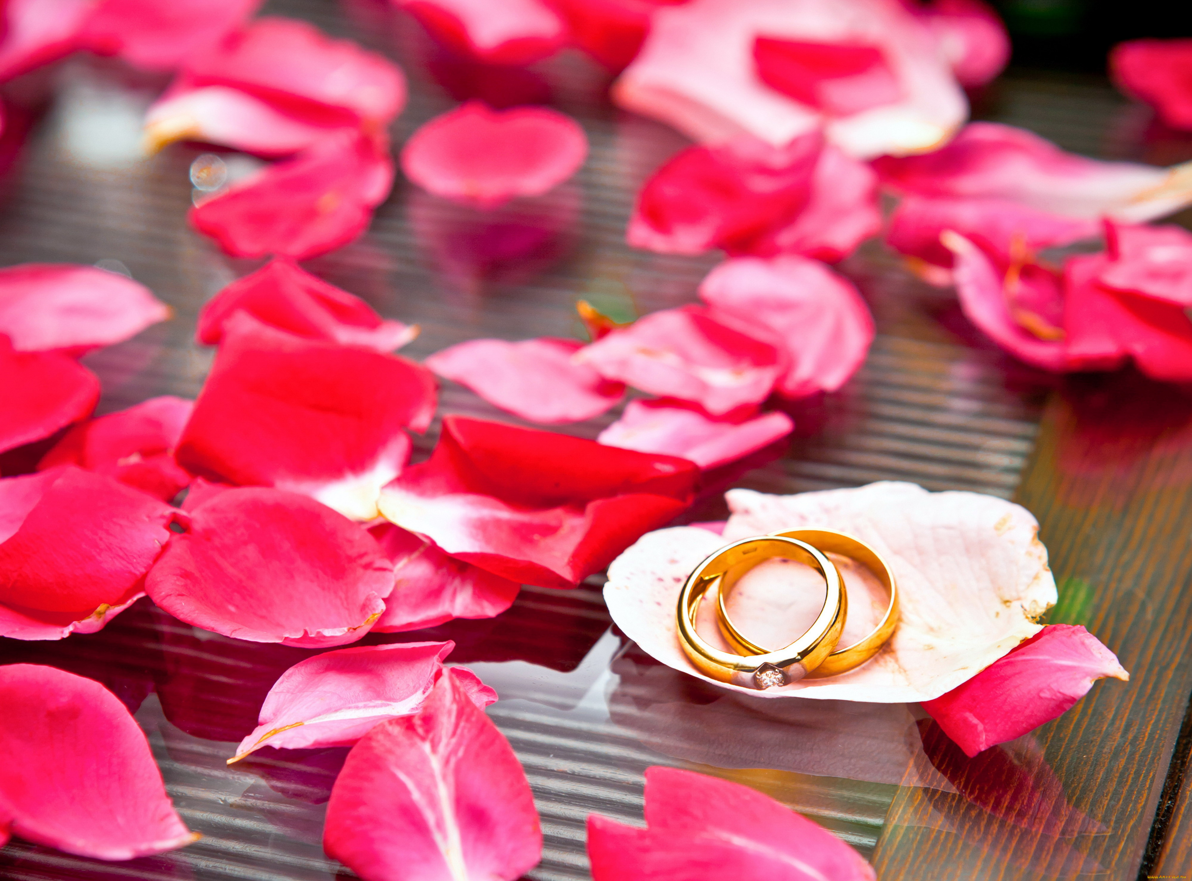 разное, украшения, , аксессуары, , веера, кольца, лепестки