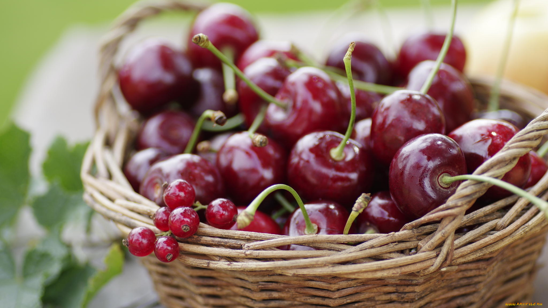 еда, вишня, , черешня, ягоды, корзинка