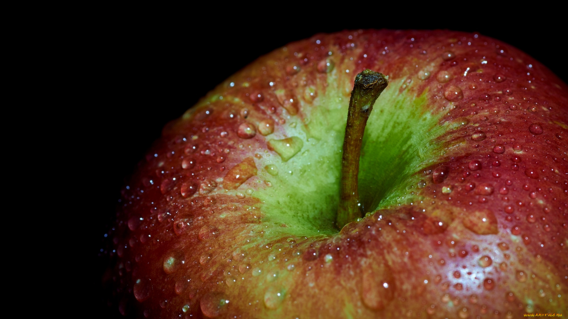 еда, Яблоки, хвостик, макро, капли, яблоко