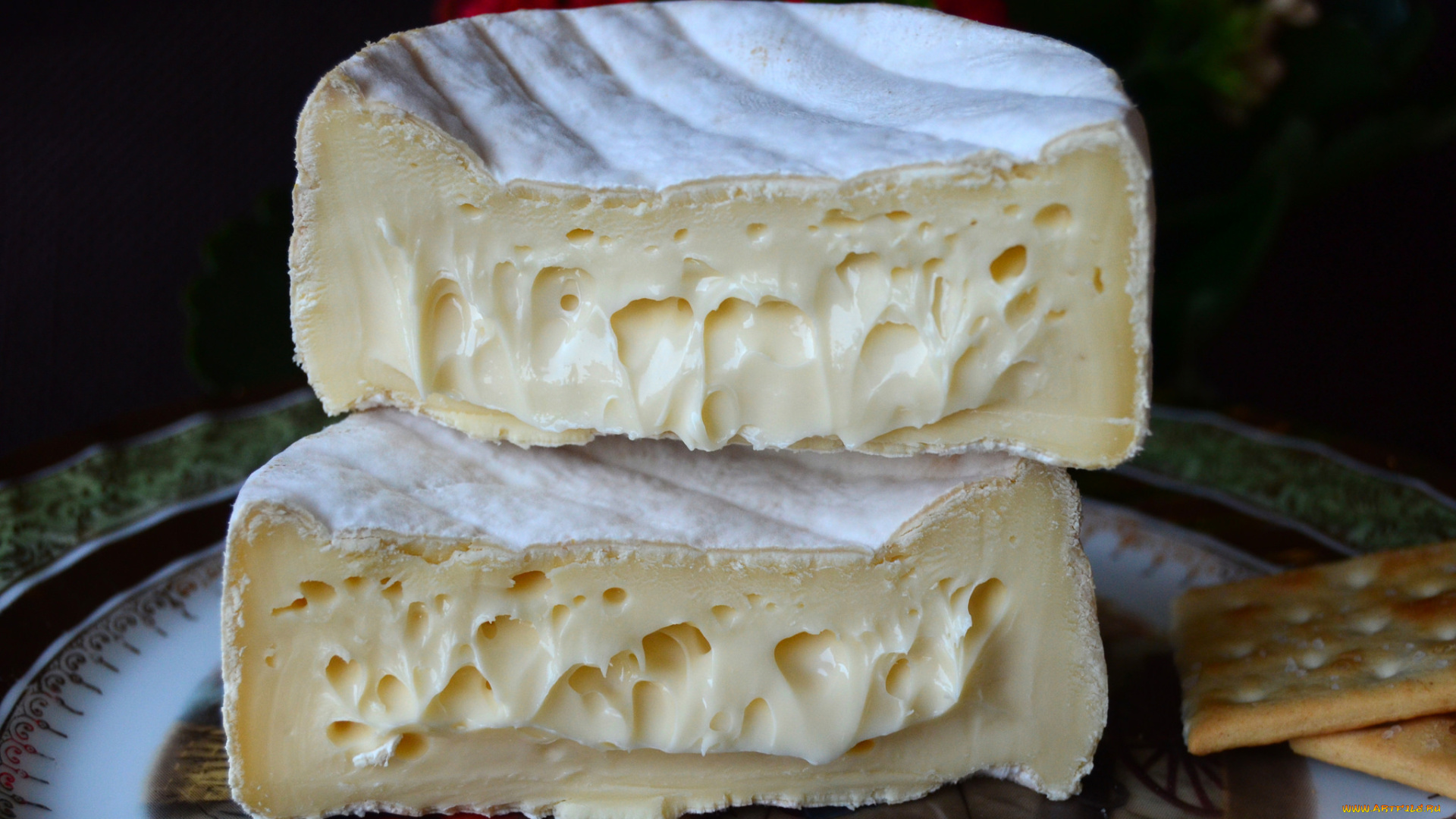 fromager, des, clarines, еда, сырные, изделия, сыр