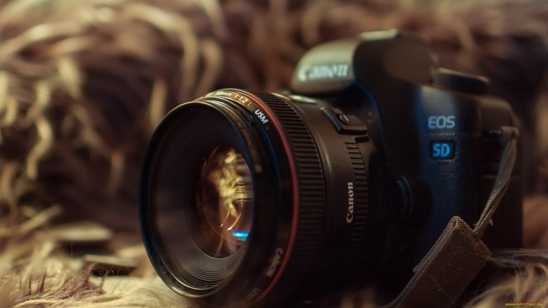 kamera, canon, бренды, canon, kamera